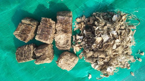 生物質燃料熱值報價 廠家